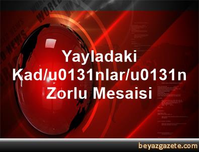 Yayladaki kadınların zorlu mesaisi 80